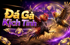Đá Gà haiqiao