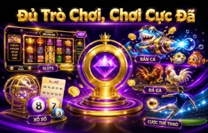 Haiqiao giao diện gọn cho người mới
