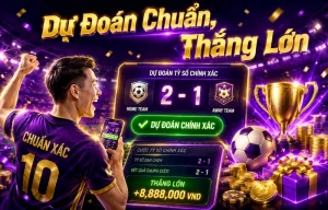 Haiqiao Thể Thao
